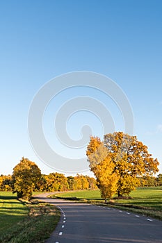 Beautiful country road by fall season