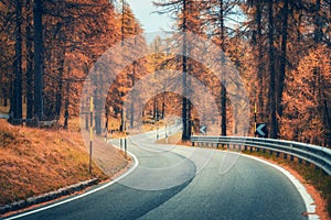 Beautiful winding mountain road in autumn forest at sunset