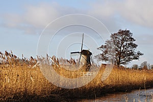 Beautiful windmill in Kinderdijk