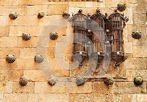 Beautiful Window of Casa de las Conchas