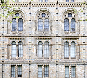 Beautiful window decoration of The Natural History Museum