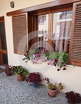 A beautiful window with flowers