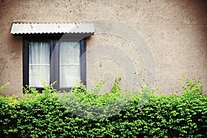 Beautiful window on green wall, vintage or retro filtered.