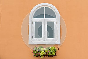 Beautiful window in modern style With colorful flower pots decorating