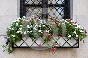 Beautiful Window Sill Planter Box with Colorful Flowers in Midtown Manhattan of New York City