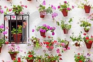 Beautiful Window and Wall Decorated Flowers - Old European Town, Cordoba, Spain photo