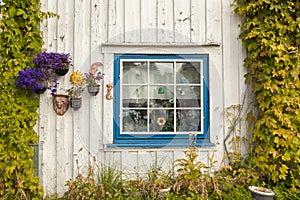 Beautiful window of a white house with greenery and flowers