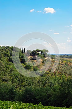 A beautiful wine estate surrounded by olive, pine and cypress trees, Tuscany, Italy