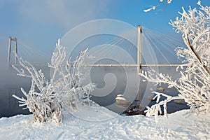 Beautiful winter background with the frozen flowers and plants. A natural pattern on plants photo