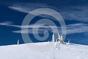 Beautiful winter or Christmas snowy landscape with snow covered fir trees and strange clouds.