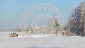 Beautiful winter cold landscape in blue tones, frost on scenic tall grass copse, winter frosty day with frost trees