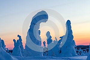 Beautiful winter evening on the fell in Lapland, Riisitunturi