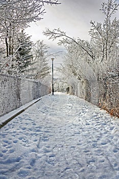 Beautiful winter footpath