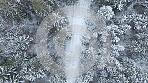 Beautiful winter forest. Aerial view from the drone.