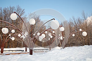 Beautiful winter forest landscape, trees covered snow