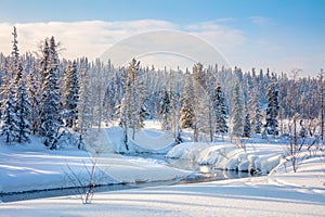 Beautiful Winter forest landscape - trees covered snow and smal