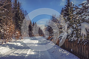 Beautiful winter forest littered with snow.