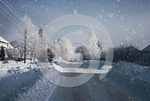 Beautiful winter forest littered with snow.