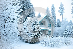 Beautiful winter forest and snow-covered house.