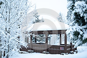 Beautiful winter forest and snow-covered house.