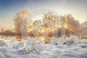 Beautiful winter. Frosty landscape of wild nature with sunbeams. Vivid Christmas landscape. Winter scenery
