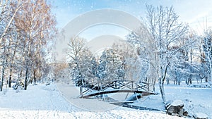 Beautiful winter greeting card with slow motion snowfall First snow in the city park with trees under fresh snow at sunrise.