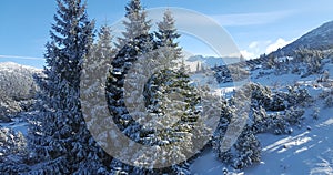 Krásné zimní landscaoe v Karpatech