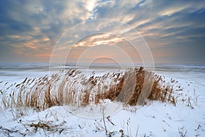 Beautiful winter landscape