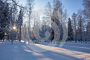 Beautiful winter landscape