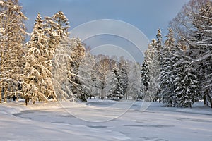 Beautiful winter landscape