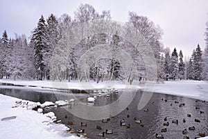 Beautiful winter landscape