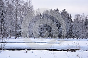 Beautiful winter landscape