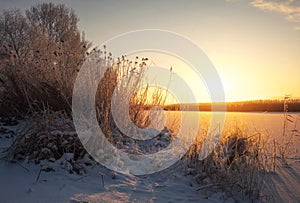 Beautiful winter landscape. The branches of the trees are covered with hoarfrost.