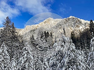 Beautiful winter landscape with Bucegi Mountains, Romania and clear blue sky in backgroun