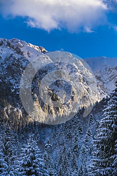 winter landscape with Carpati Piatra Craiului mountain photo