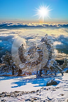 Beautiful winter landscape and cloudscape in thÑƒ mountains. Fir trees covered with snow