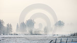 Beautiful winter landscape with fog over a snow-covered meadow and trees in frost on a frosty morning