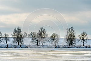 Beautiful winter landscape forest on the lake shore on a sunny frosty day. Panorama of the coastline covered with snow and birch