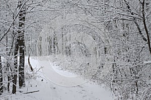 Beautiful winter landscape the forest. Road outside the city and snowfall. Snowdrifts in the park and uncleaned street.