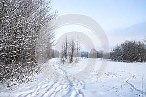 Beautiful winter landscape in forest. Road outside the city and snowfall. Snowdrifts in the park and uncleaned street.