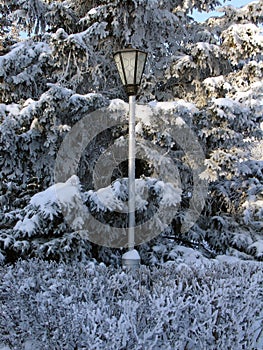 Beautiful winter landscape in forests and parks