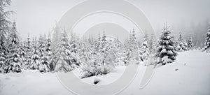 Beautiful winter landscape with fresh snow covered spruce trees