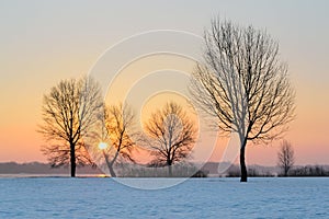 Beautiful winter landscape with frozen river I