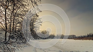 winter landscape. Frozen snowy river with coastal trees in the warm sunset light