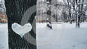 Beautiful winter landscape with heart of snow on tree trunk, tree of love