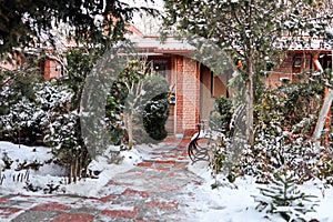 Beautiful winter landscape in home garden with pine and spruce trees covered by snow on sunny day. Frost on leaves and grass. Snow