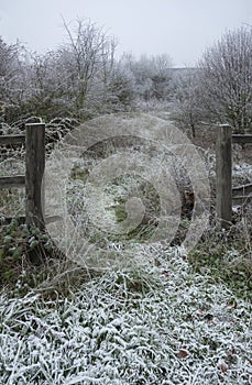 Beautiful Winter landscape image of forest in English countryside covered in hoarfrost at dawn