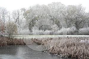 Beautiful Winter landscape image of small lake in front of woodland covered in hoarfrost at dawn