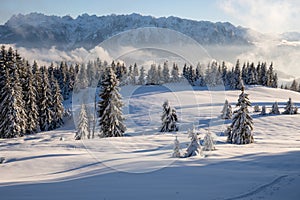 Beautiful winter landscape, the Kaiser Gebirge in Tyrol Austria photo