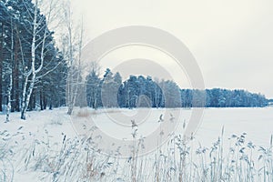Beautiful winter landscape, lake and forest.